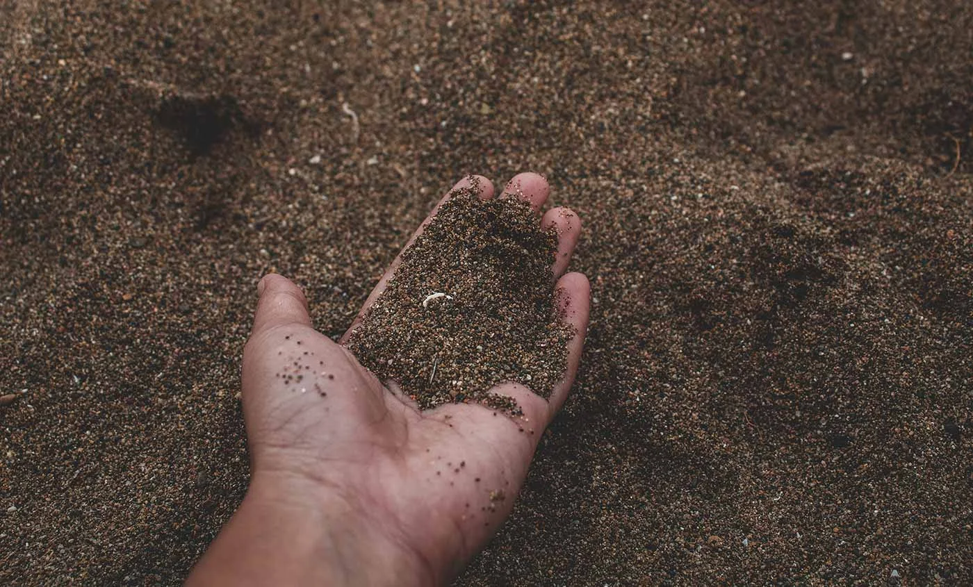 Życie Zrównoważone: Mądrość z Dalekiego Wschodu dla Świadomego Działania Ekologicznego